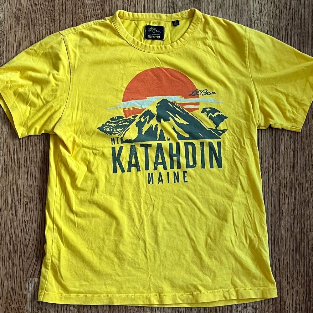 Todd Snyder X LL Bean graphic t-shirt gold (medium)